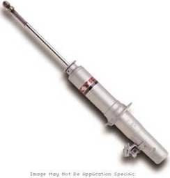 Strut Assembly