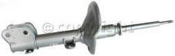 Strut Assembly