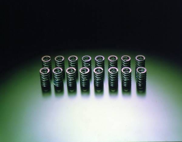 Nissan Silvia HKS Valve Spring Set - 22001-AN002