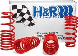 Ford Mustang H&R H&R Race Springs - 47202