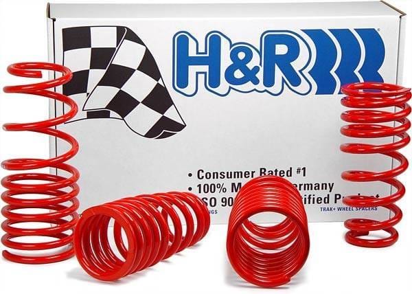 Ford Mustang H&R H&R Race Springs - 47202