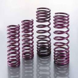 Lowering Suspension Springs - 40.1.001
