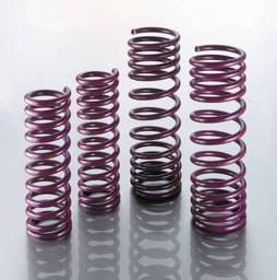 Lowering Suspension Springs - 45.1.011
