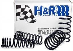 H&R Race Lowering Spring 50145-88