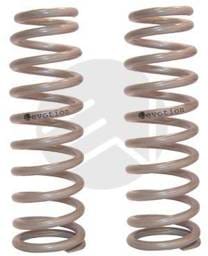 Lowering Springs - 220