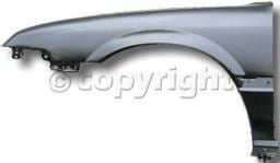 Fender LH (Driver Side)
