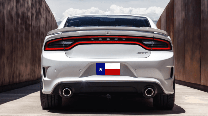 Dodge Charger Hellcat DAR Spoilers OEM Look Flush Wing w/o Light ABS-789
