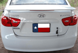Hyundai Elantra DAR Spoilers Custom 3 Post Wing w/ Light FG-080
