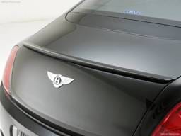 Rear Trunk Lid Spoiler