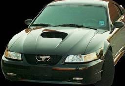 Ford Mustang APM Fiberglass Non-Functional Hood - Painted - 811120