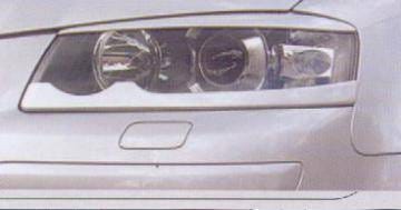 Upper Eyebrow