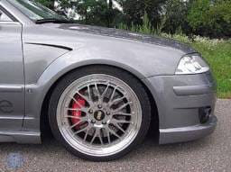 SRS Custom Fenders