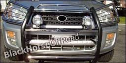 Toyota Rav 4 Black Horse Push Bar Guard