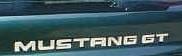 Ford Mustang GT Stainless Steel Bumper Insert