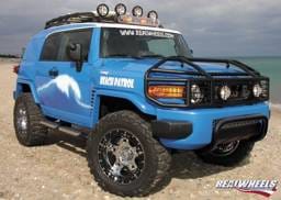 Toyota FJ Cruiser RealWheels Brush Guard - Over-The-Hood with Inserts - Polished Stainless Steel - 1PC - RW304-2-T0202