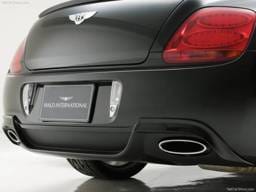 Rear Bumper Spoiler