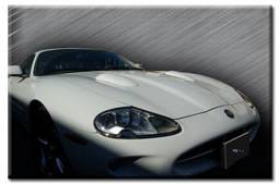 Hood Louvers