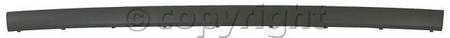 REAR BUMPER MOLDING