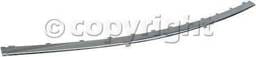 FRONT BUMPER MOLDING