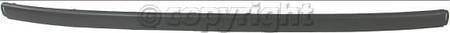 REAR BUMPER MOLDING