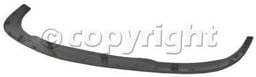 FRONT BUMPER MOLDING