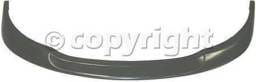 FRONT BUMPER MOLDING