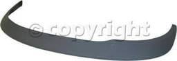 FRONT BUMPER MOLDING