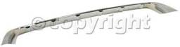 FRONT BUMPER MOLDING