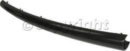 FRONT BUMPER MOLDING