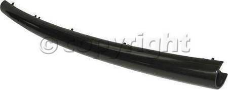FRONT BUMPER MOLDING