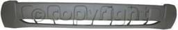 FRONT BUMPER MOLDING