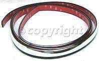 REAR BUMPER MOLDING