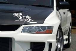 Mitsubishi Lancer Chargespeed Eye Line - Pair