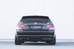 Rear Bumper Insert