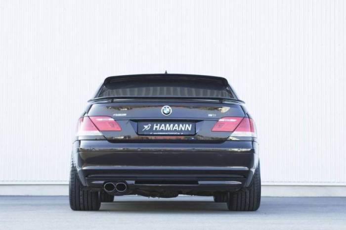 Rear Bumper Insert