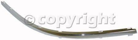 FRONT BUMPER MOLDING RH (PASSENGER SIDE)
