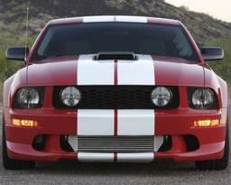 Ford Mustang White Lemans Stripes