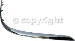 FRONT BUMPER MOLDING RH (PASSENGER SIDE)