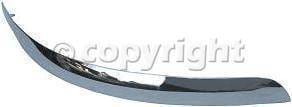 FRONT BUMPER MOLDING RH (PASSENGER SIDE)