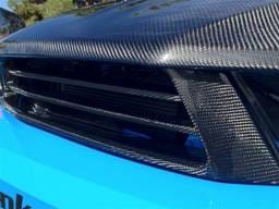 Ford Mustang TruFiber Carbon Fiber LG88 Bumper Grill TC10025-LG88