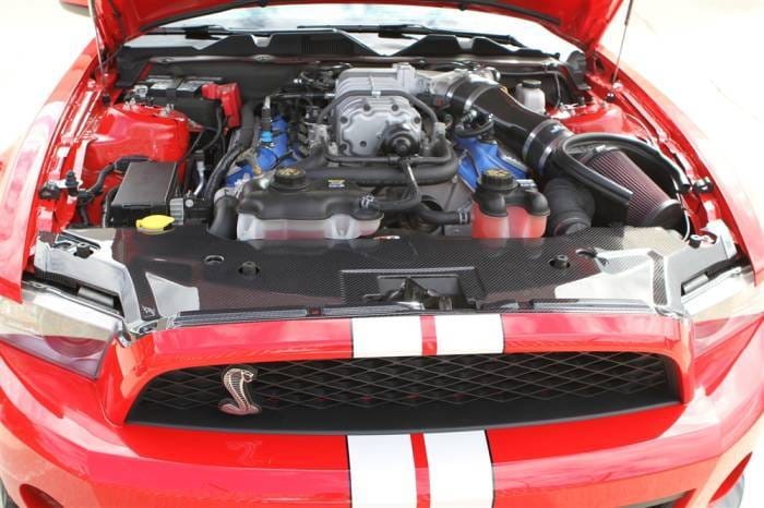 Ford Mustang TruFiber Carbon Fiber GT500 LG46 Radiator Cover TC10025-LG46KR