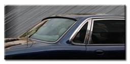 Sport Hood Spoiler