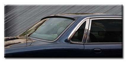Sport Hood Spoiler