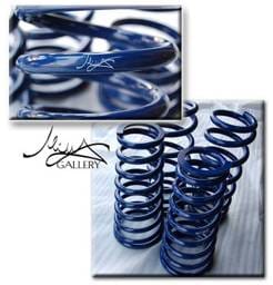 Mina Gallery Lowering Springs