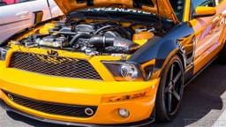Ford Mustang TruFiber Carbon Fiber T-1 Fenders TC10024-NX1