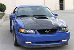 Ford Mustang TruFiber Carbon Fiber Mach 1 Hood TC10023-A65