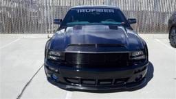 Ford Mustang TruFiber Carbon Fiber GT-S V.4 Hood TC10024-A53