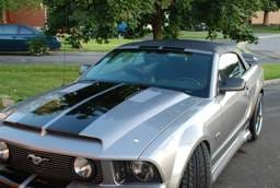Ford Mustang TruFiber GT-S V.4 Hood TF10024-A53