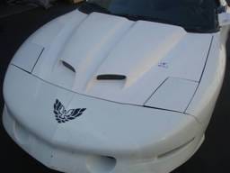 Pontiac Firebird TruFiber WS-6 Hood TF40020-A12