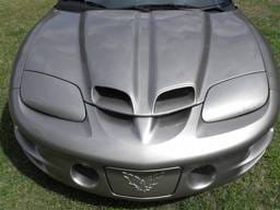 Pontiac Firebird TruFiber WS-6 Hood TF40021-A12